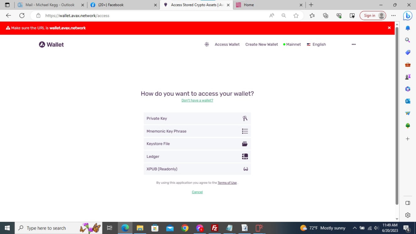 https://wallet.avax.network/access