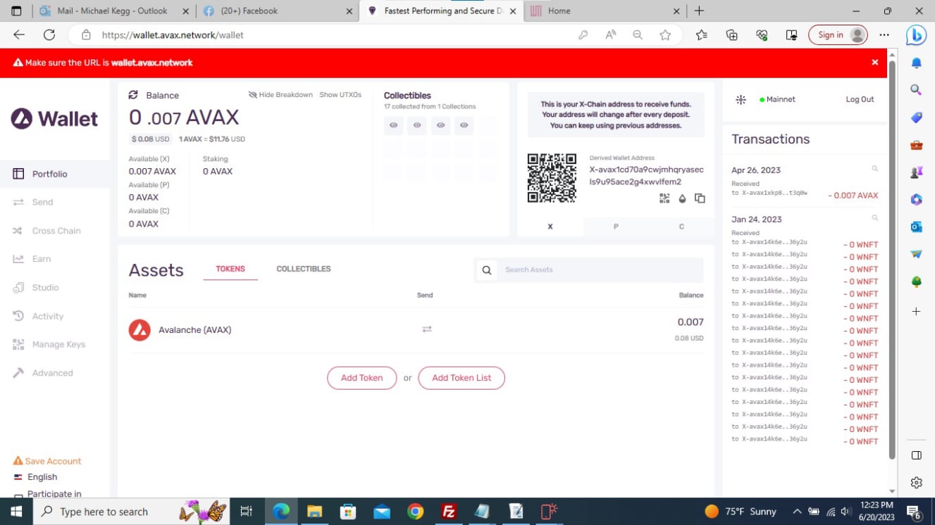 https://wallet.avax.network/wallet